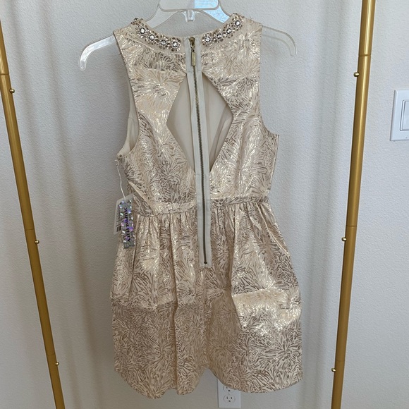 Urban Outfitters 2013 Gold Holiday Dress with Back Cut Outs - Picture 7 of 9